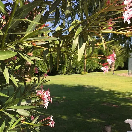 Quinta Da Vinha Morta Lamego