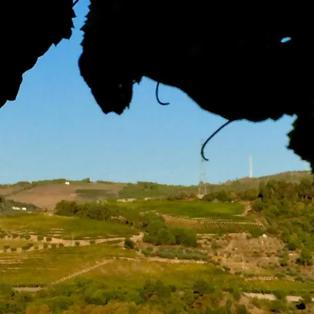 Quinta Da Vinha Morta Alojamento de Acomodação e Pequeno-almoço Lamego