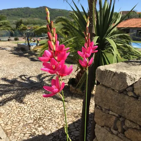 Quinta Da Vinha Morta