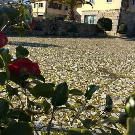 Quinta Da Vinha Morta Lamego