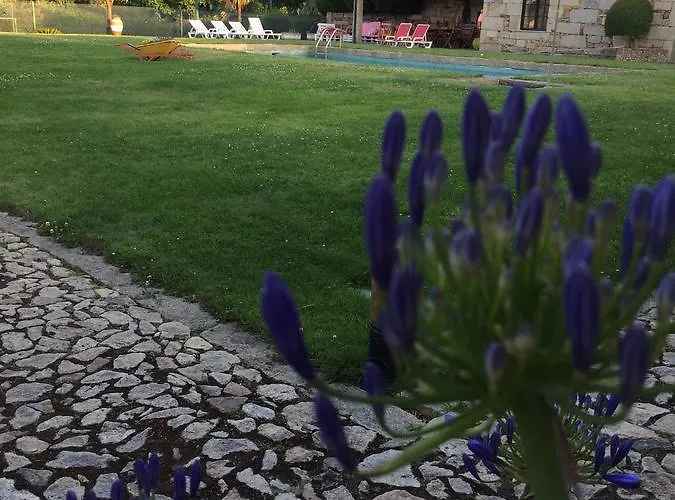 Quinta Da Vinha Morta 4*