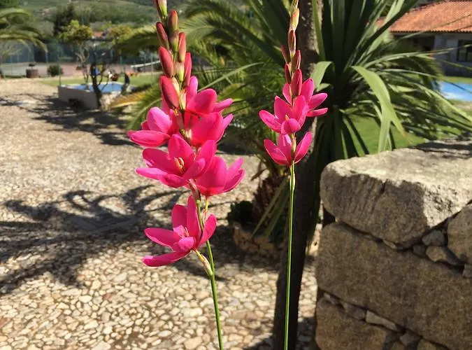 Quinta Da Vinha Morta