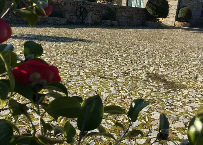 Quinta Da Vinha Morta Lamego